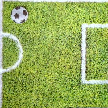 036 Sport: Fußball - 3-ply